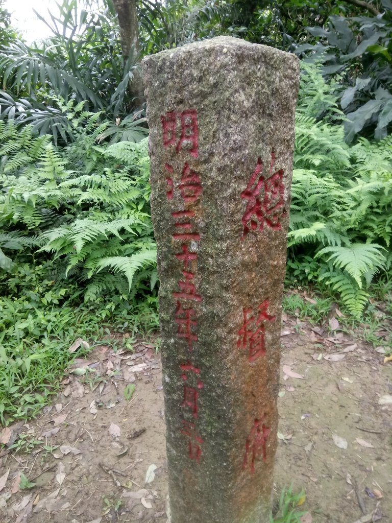 DSC_9327.JPG - 基隆  五坑山  總督嶺步道