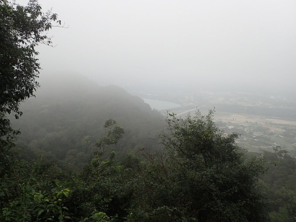 P2107518.JPG - 大溪  溪洲山登山步道