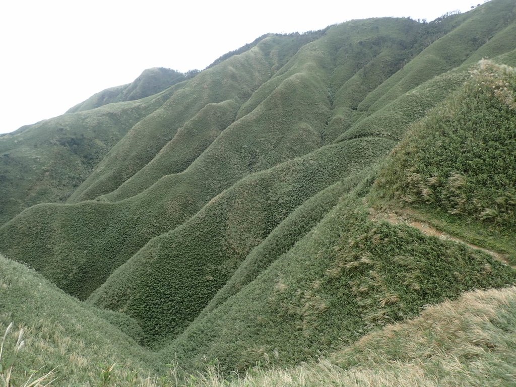 PB159025.JPG - 礁溪  聖母登山步道  (抹茶山)