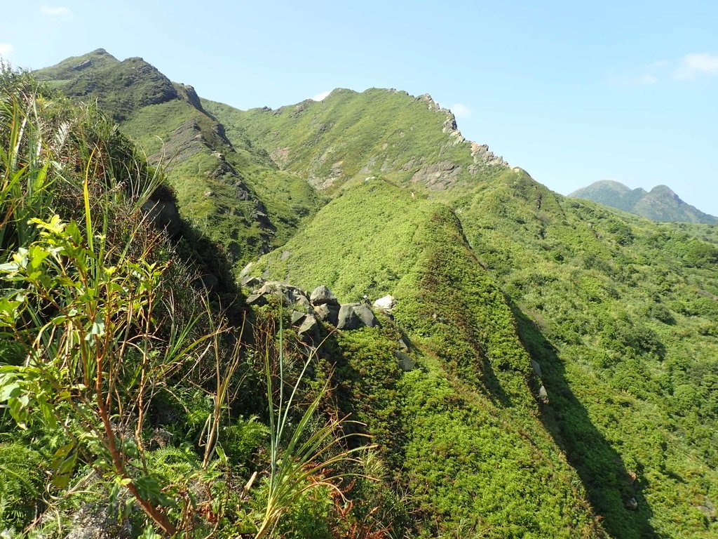 PA104841.JPG - 秋晴  南子吝山  登龍尾坪