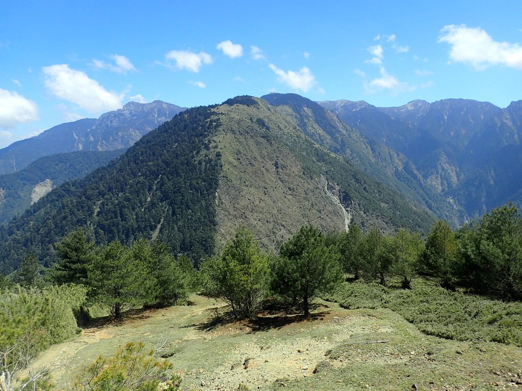 P3268171.JPG - 鹿林山  麟趾山步道  (02)