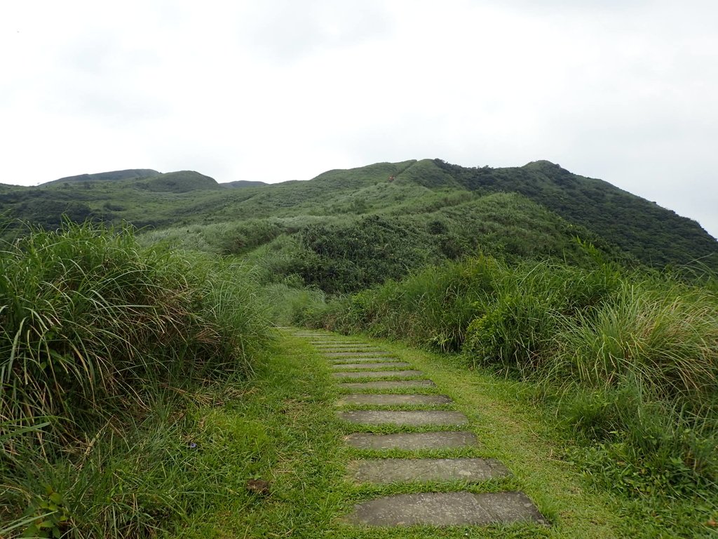 P5258749.JPG - 貢寮  桃源谷  灣坑頭山