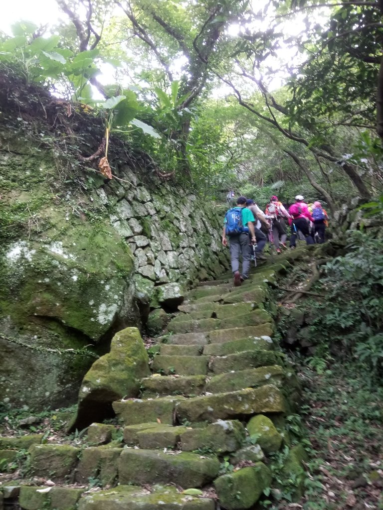 DSC_5390.JPG - 猴硐  小粗坑古道