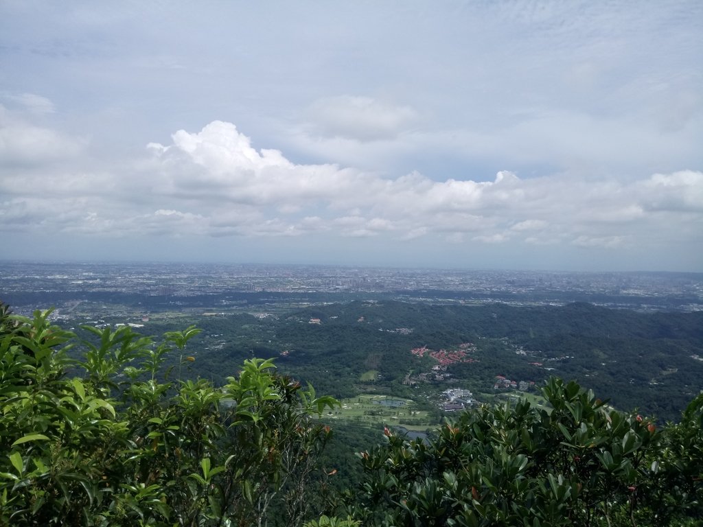 DSC_2993.JPG - 大溪  金面山登山步道