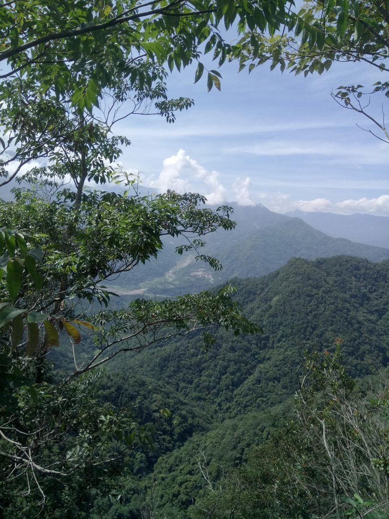 DSC_0194.JPG - 魚池  頭社  後尖山步道