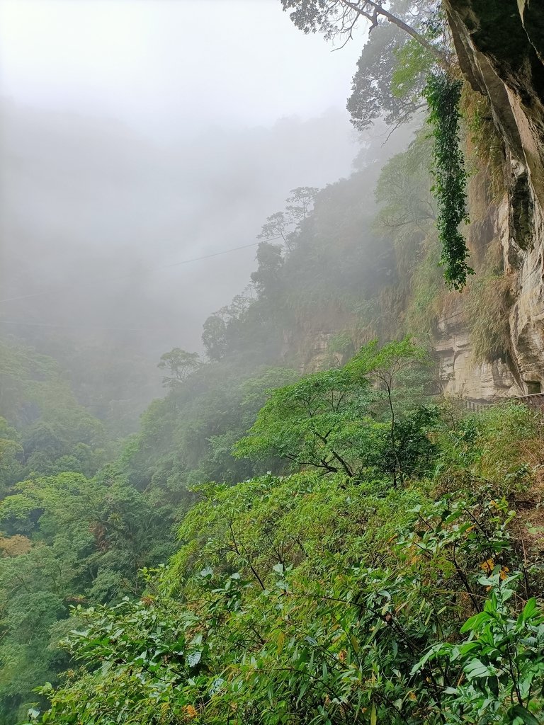 IMG20210108124011.jpg - 梅山  瑞峰村  竹坑溪步道