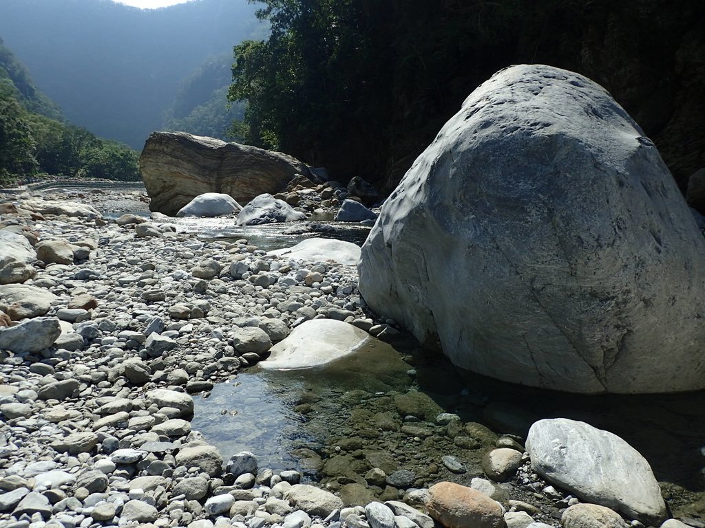 P8120289.JPG - 花蓮  秀林  砂卡噹步道