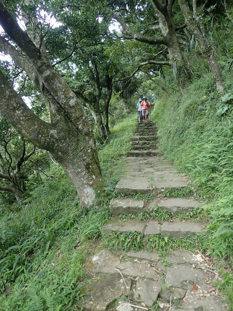 P9238259.JPG - 北投  面天山  向天湖步道