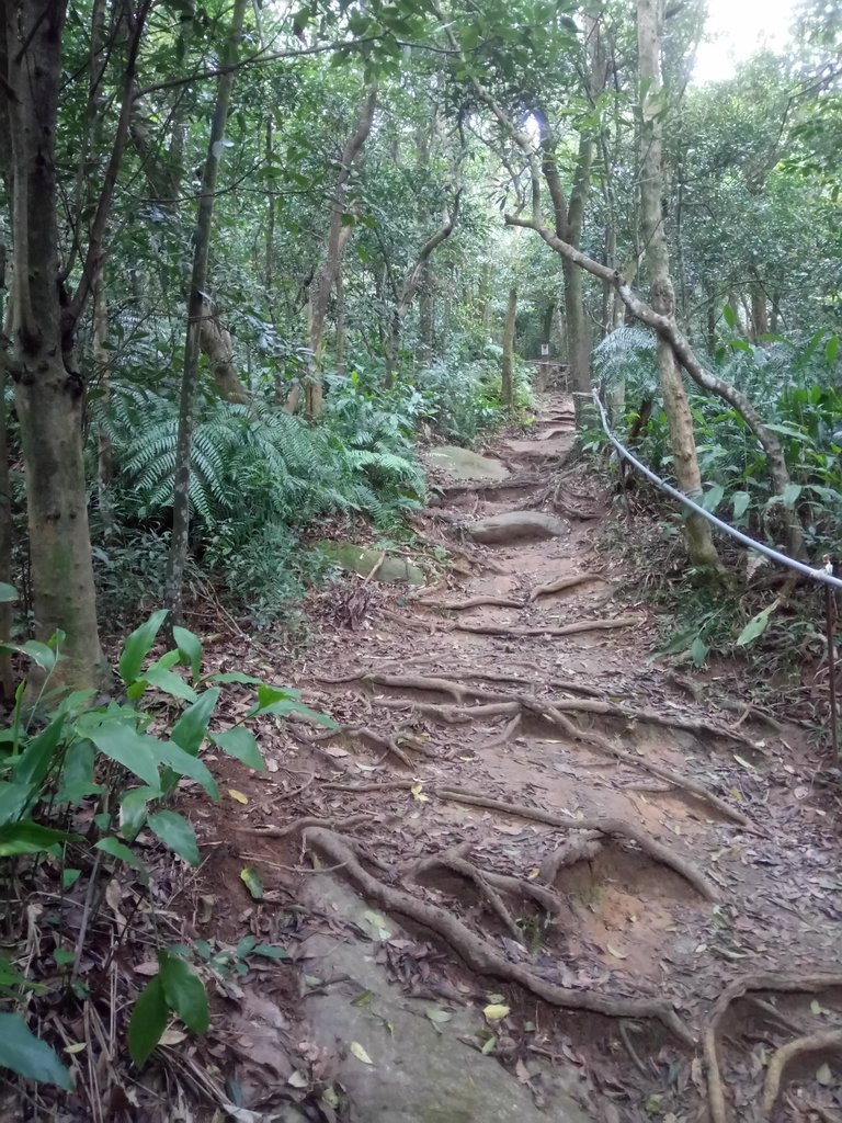 DSC_5829.JPG - 內湖  大崙尾山