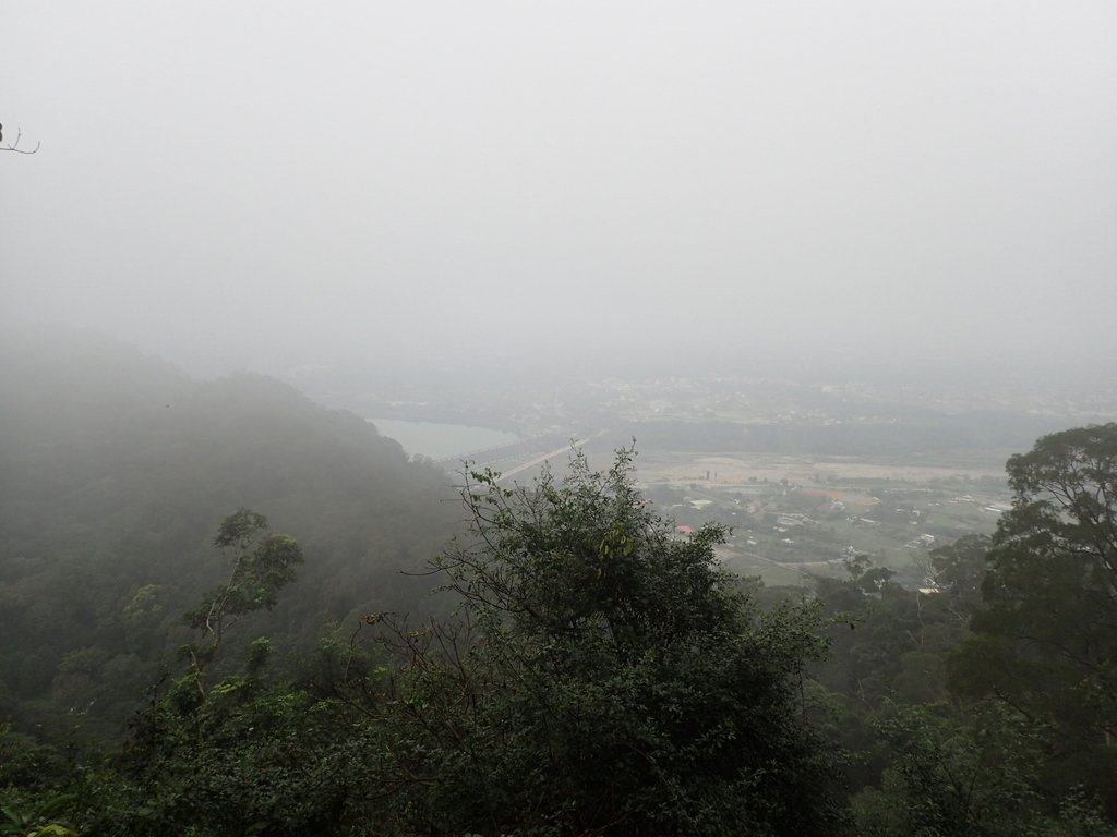 P2107519.JPG - 大溪  溪洲山登山步道