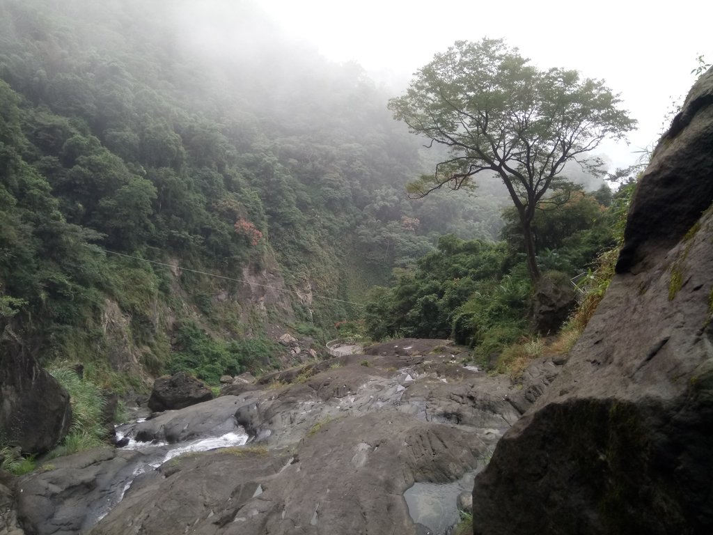 DSC_1176.JPG - 草嶺  蓬萊瀑布步道