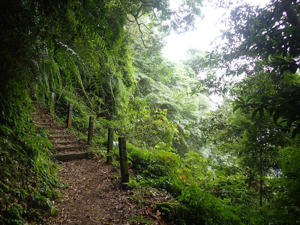 PA231700.JPG - 石壁山  嘉南雲峰步道