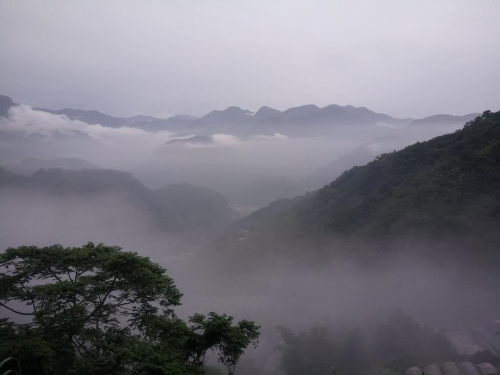 DSC_1389.JPG - 石壁途中之   茶山雲雨