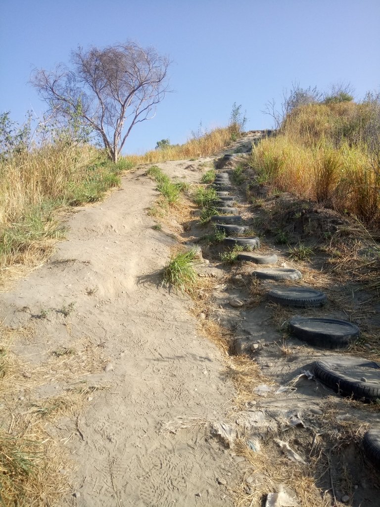 DSC_1801.JPG - 烏日  學田山登山步道