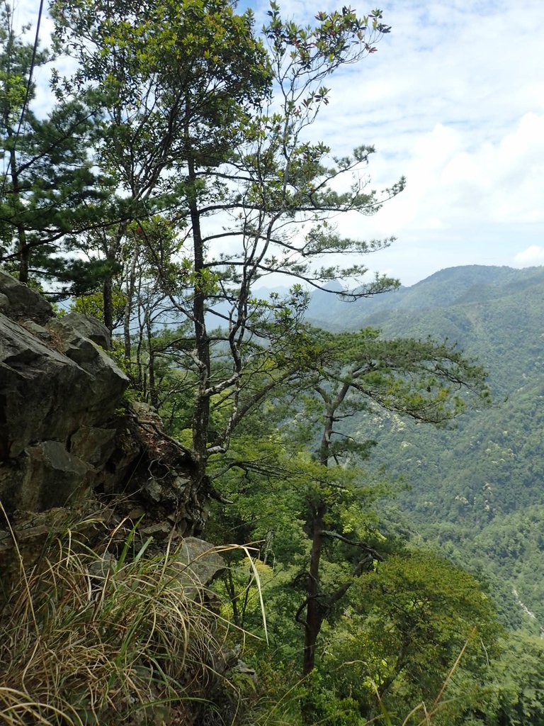 P5012345.JPG - 谷關七雄之  波津加山