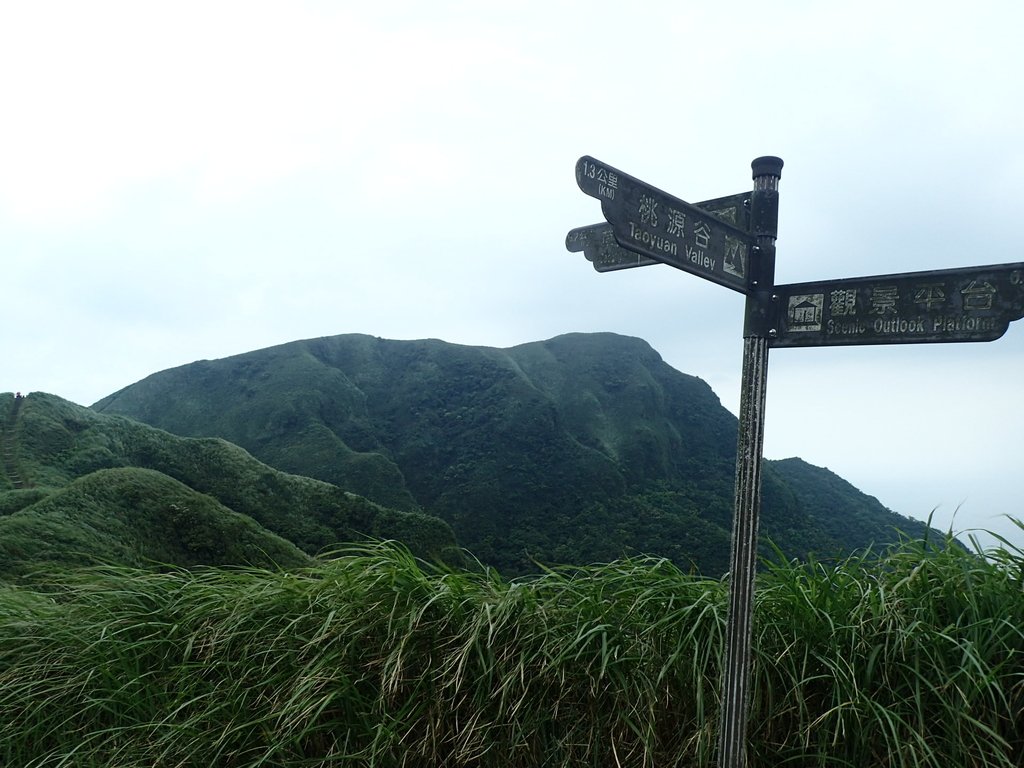 P5258751.JPG - 貢寮  桃源谷  灣坑頭山