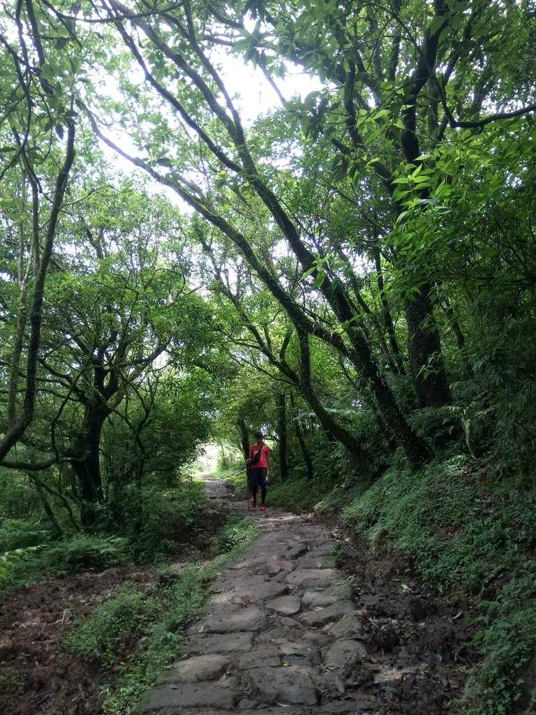 DSC_9353.JPG - 萬里  風櫃嘴  頂山