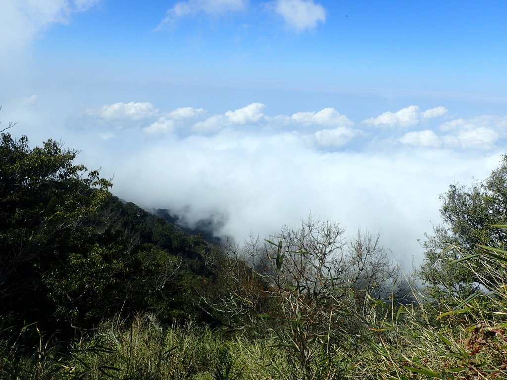 P2034865.JPG - 南庄  加里山