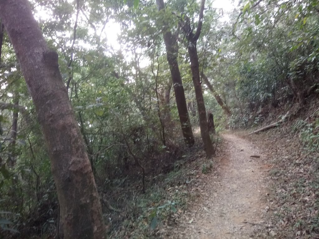 DSC_7460.JPG - 小百岳  橫山觀日步道