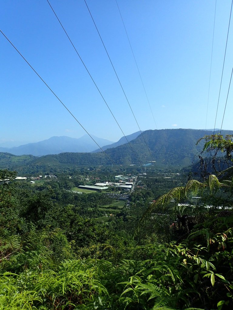 PA040357.JPG - 魚池  過坑山登山步道