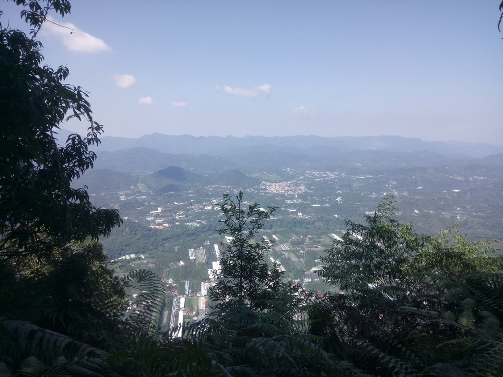 DSC_4032.JPG - 魚池  過坑山登山步道