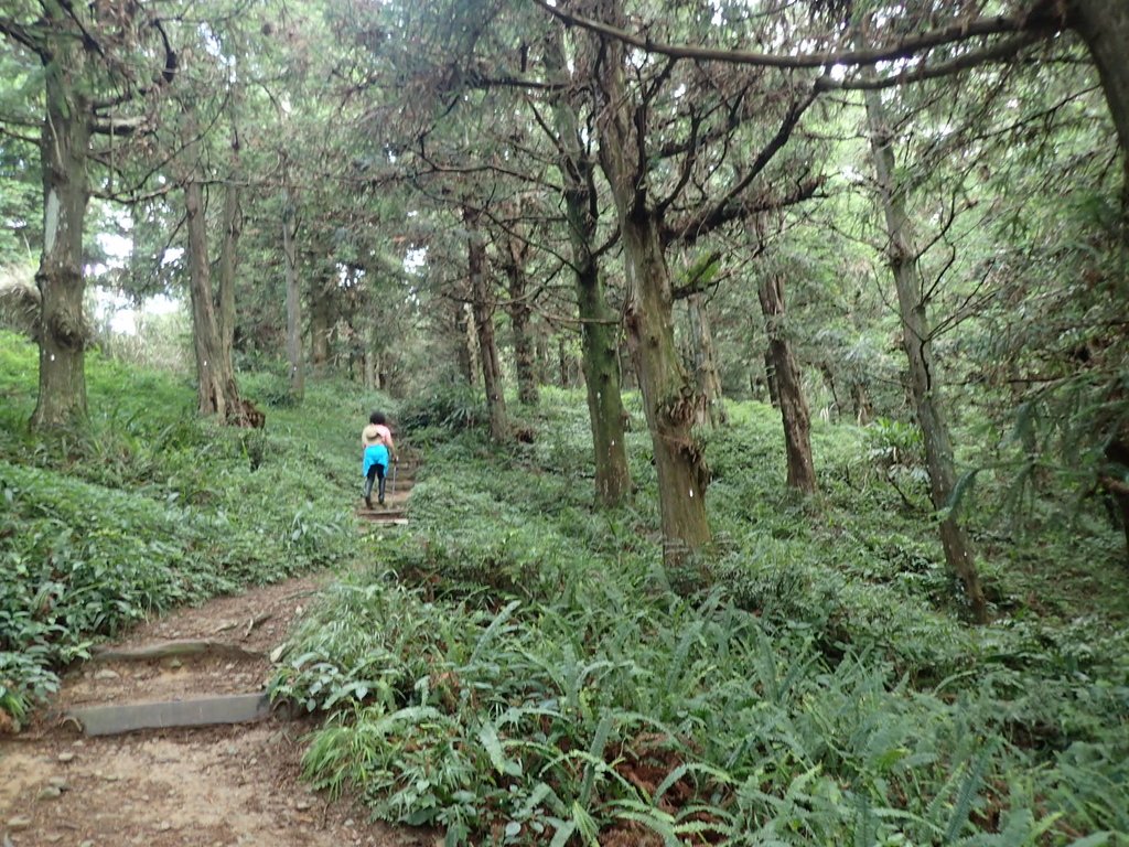 P7235807.JPG - 台中和平  長壽山登山步道  (上)