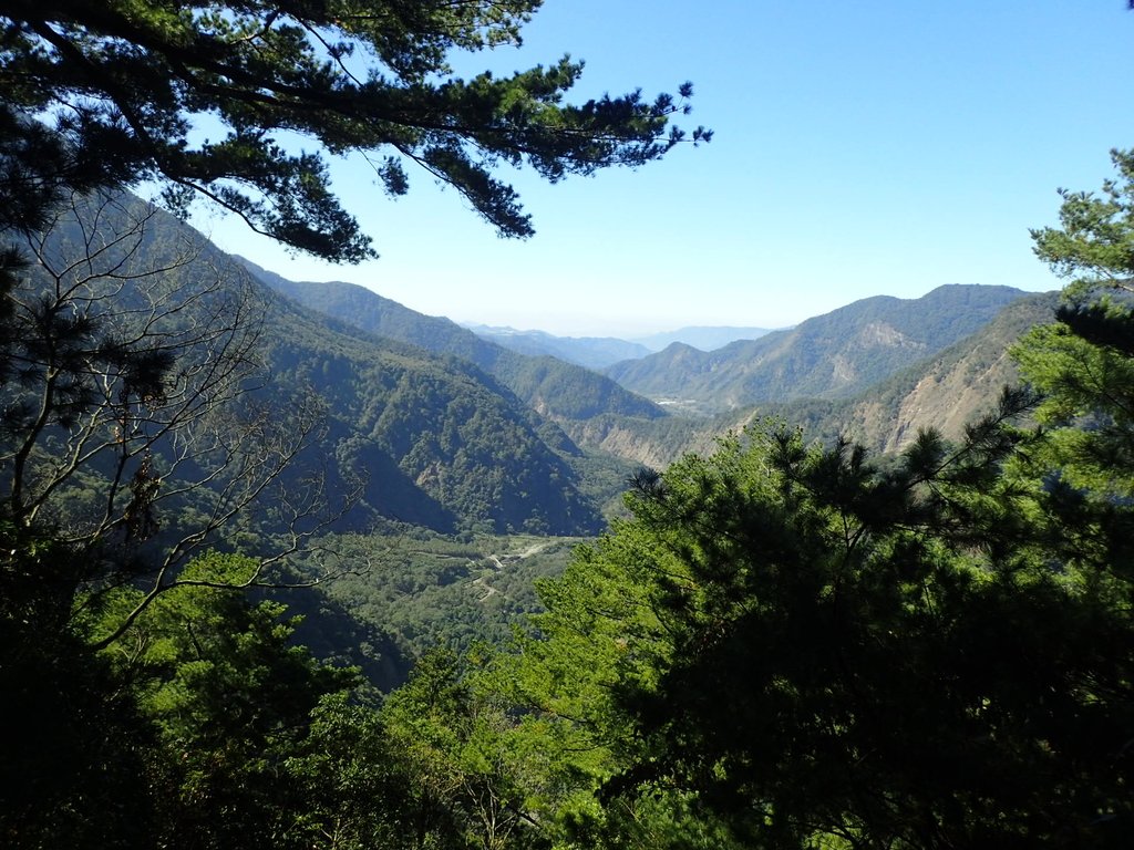 PB225061.JPG - 仁愛  惠蓀林場  巨松臺步道