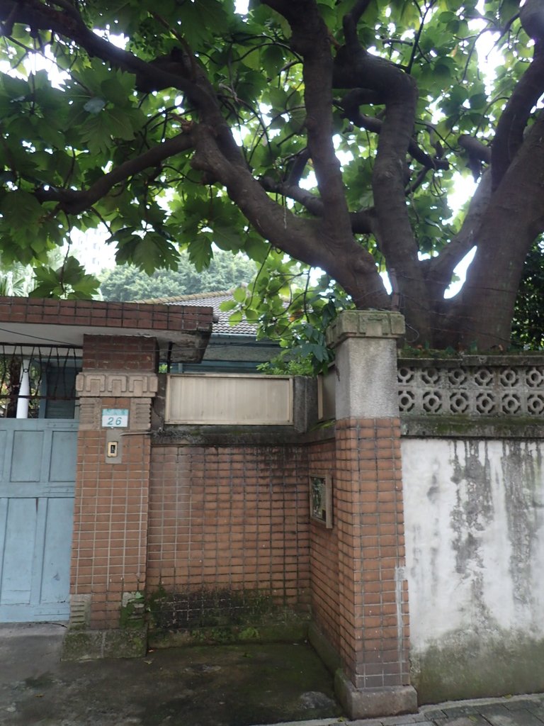 P1051850.JPG - 福州街周邊日式建築群