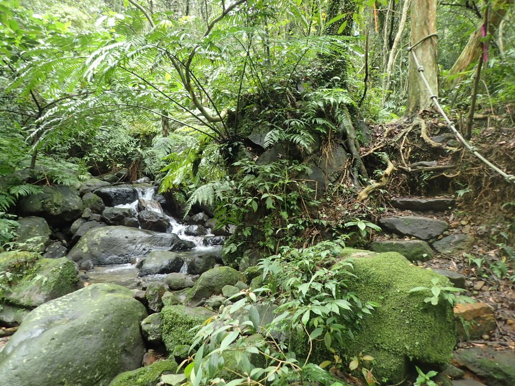 P1274386.JPG - 瑞芳  燦光寮古道初探