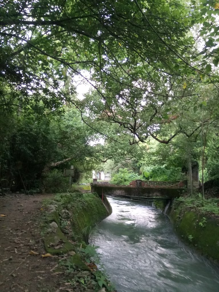 DSC_9714.JPG - 舊山線鐵道  后里圳磚橋