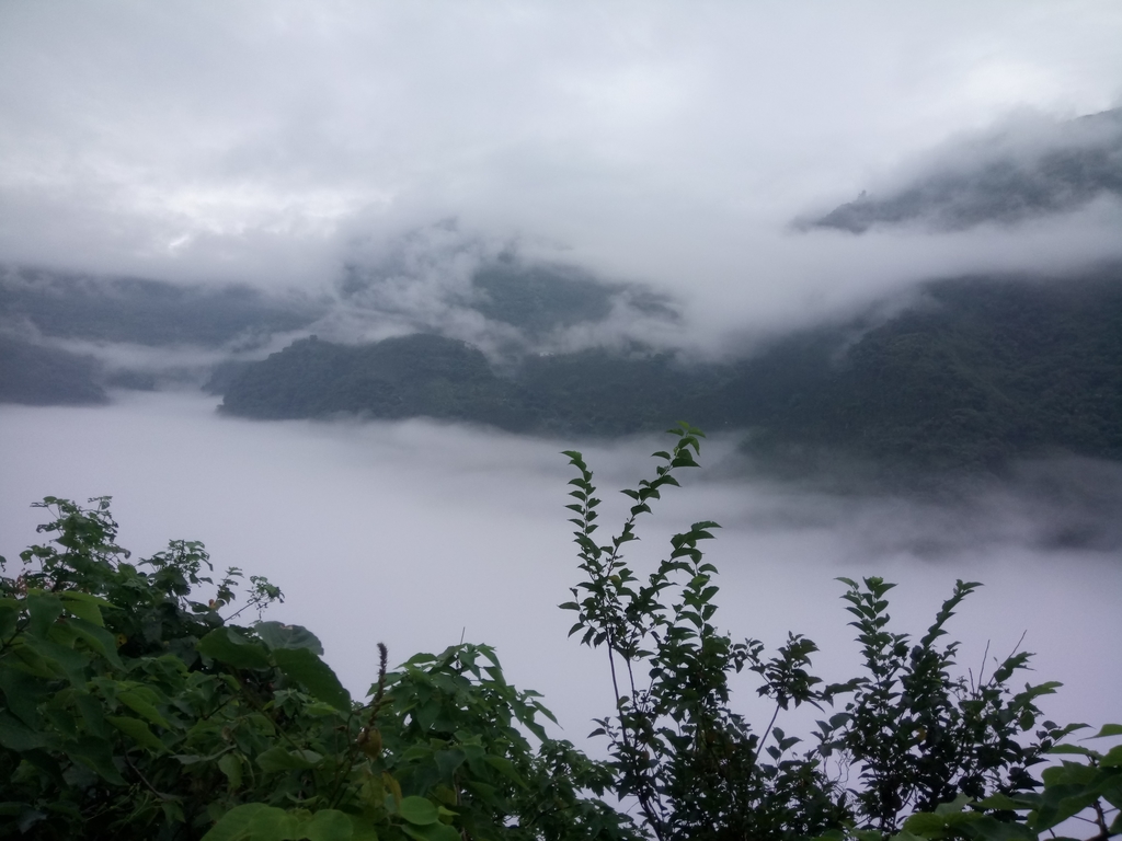 DSC_1138.JPG - 古坑  草嶺  雲山繚繞