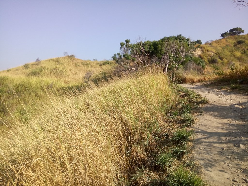 DSC_1803.JPG - 烏日  學田山登山步道