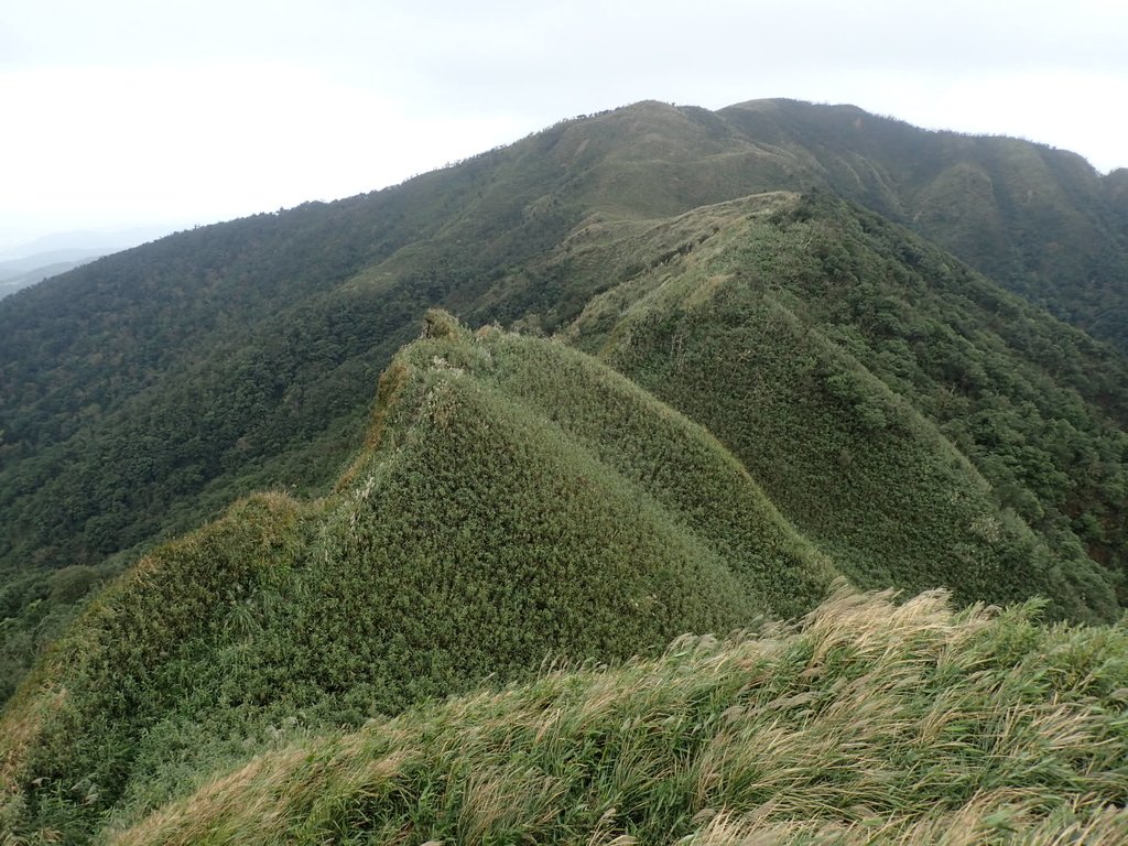 PB159031.JPG - 礁溪  聖母登山步道  (抹茶山)