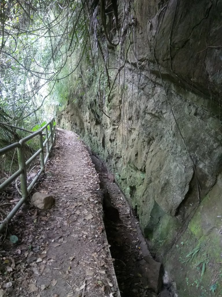 DSC_0565.JPG - 鹿谷  長源圳古道