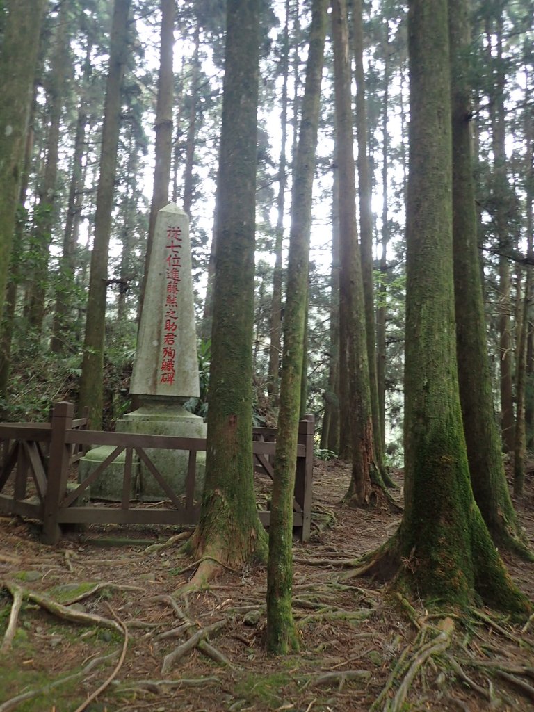 P3257972.JPG - 阿里山  二萬坪步道