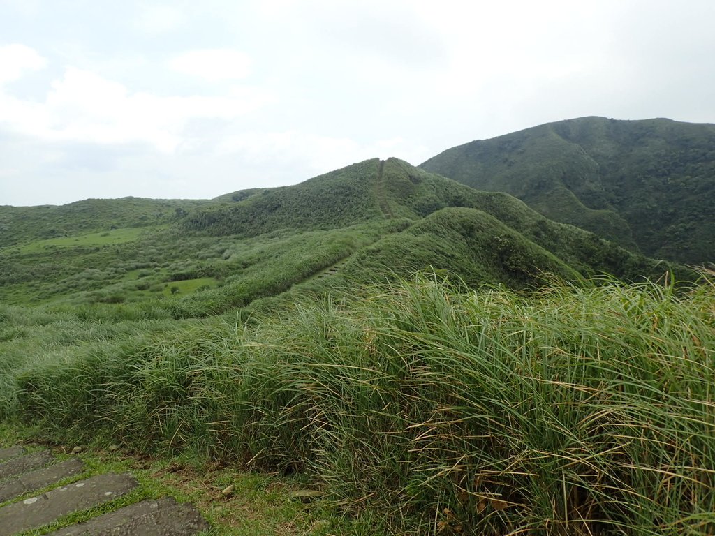 P5258756.JPG - 貢寮  桃源谷  灣坑頭山