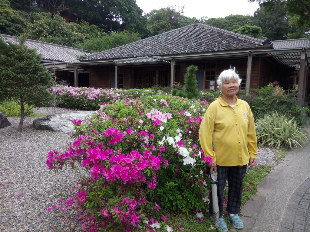 DSC_9213.JPG - 花博公園  蜀葵花季