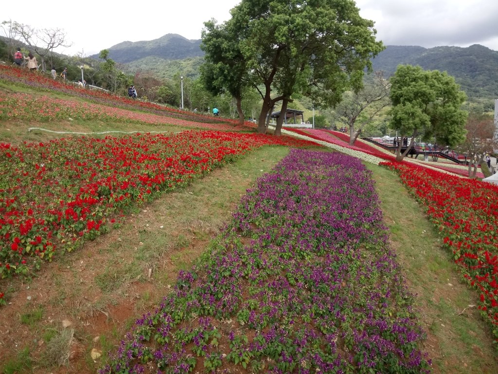 DSC_5452.JPG - 北投社  三層崎公園