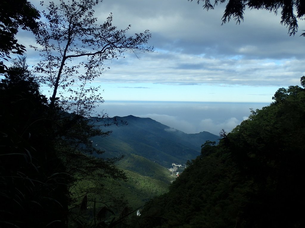 PC055873.JPG - 鹿谷  溪頭  南鳳凰山