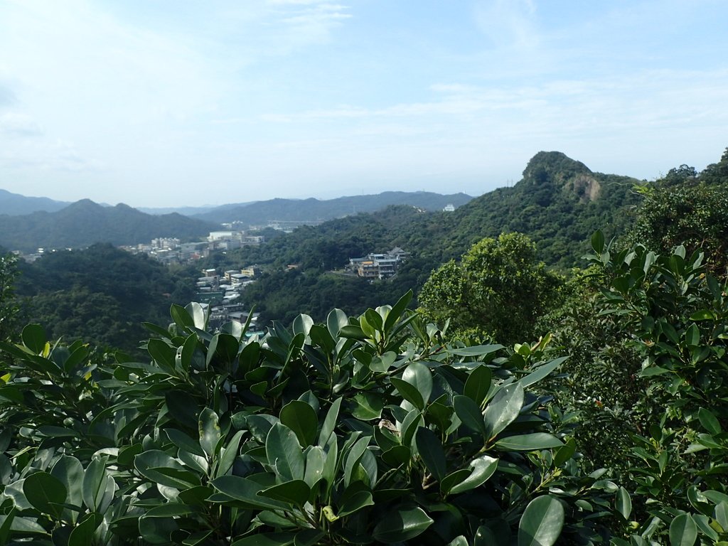 P2145373.JPG - 秀崎山  瑞芳山  龍潭山