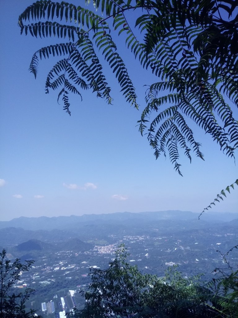 DSC_4036.JPG - 魚池  過坑山登山步道