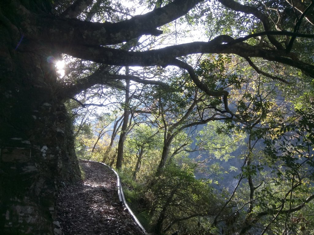 DSC_9046.JPG - 東埔  八通關古道