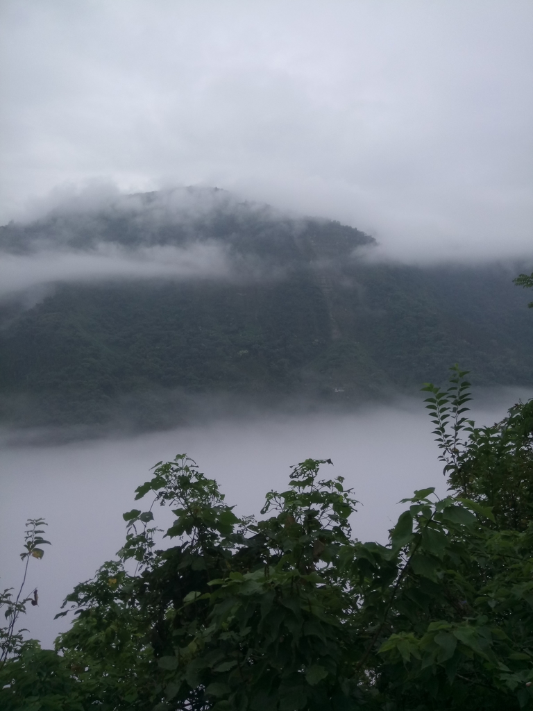 DSC_1142.JPG - 古坑  草嶺  雲山繚繞