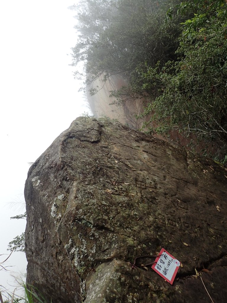 PA231724.JPG - 石壁山  嘉南雲峰步道