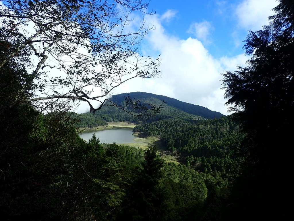 PB265494.JPG - 太平山  翠峰湖環山步道  02