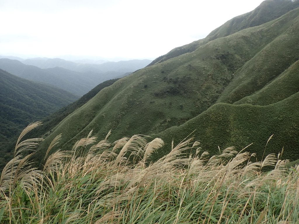 PB159037.JPG - 礁溪  聖母登山步道  (抹茶山)