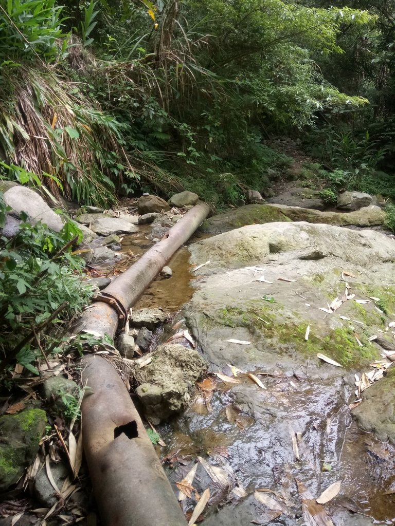 DSC_0569.JPG - 鹿谷  長源圳古道