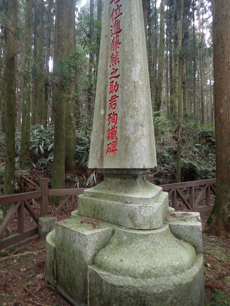 P3257975.JPG - 阿里山  二萬坪步道