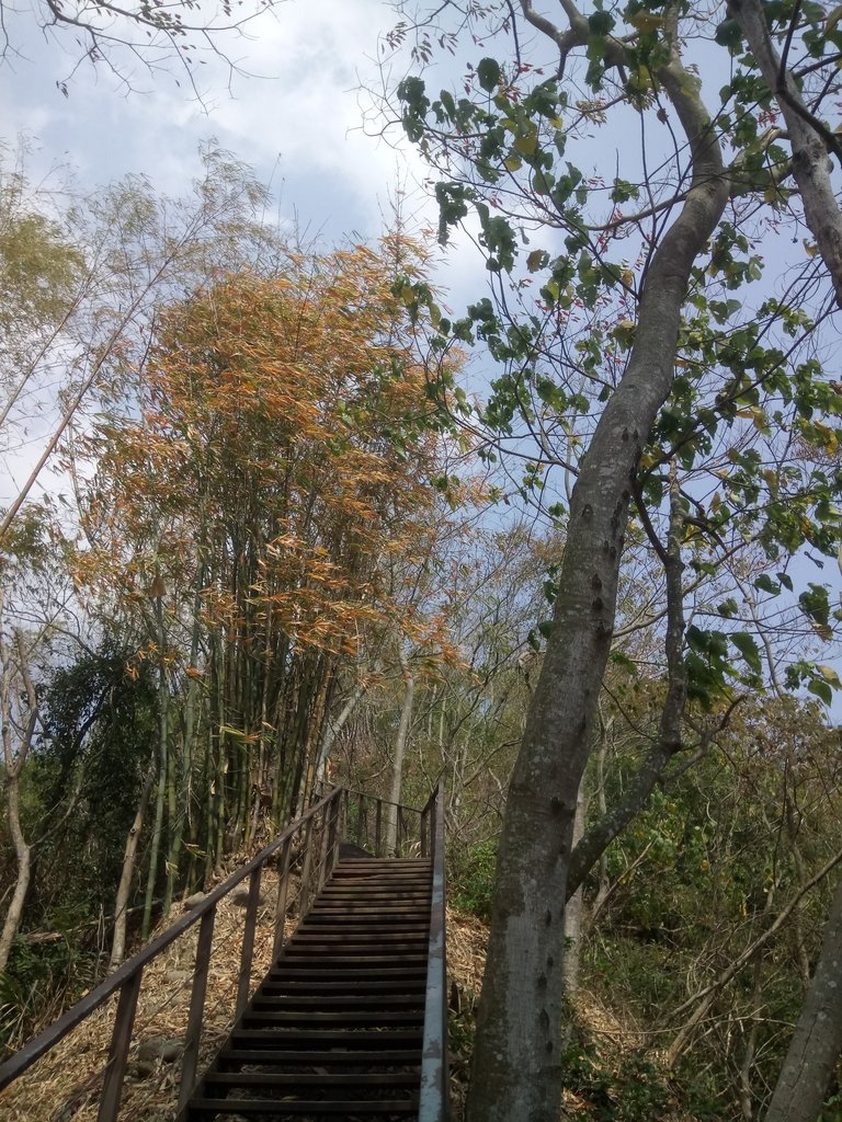 DSC_7293.JPG - 草屯平林  九九峰森林步道