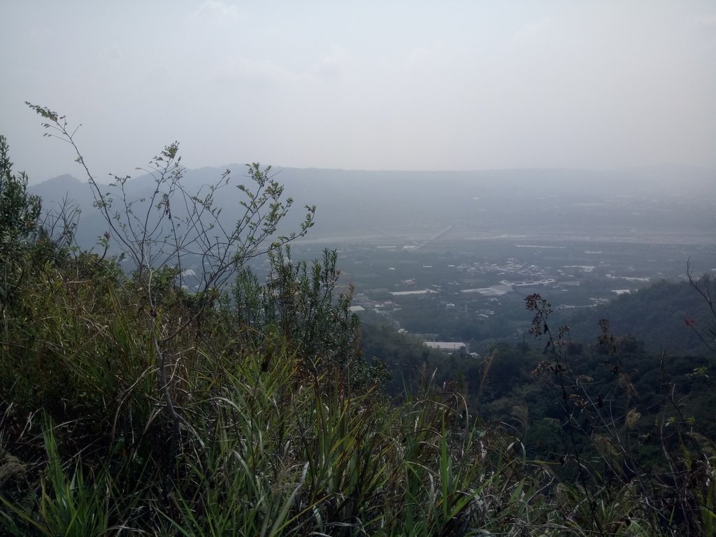 DSC_7346.JPG - 草屯平林  九九峰森林步道